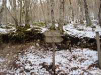 2026-03-21 Monte Ginepro 041